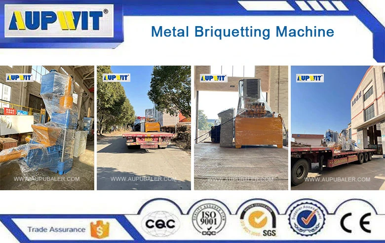 Metal Briquetting Press